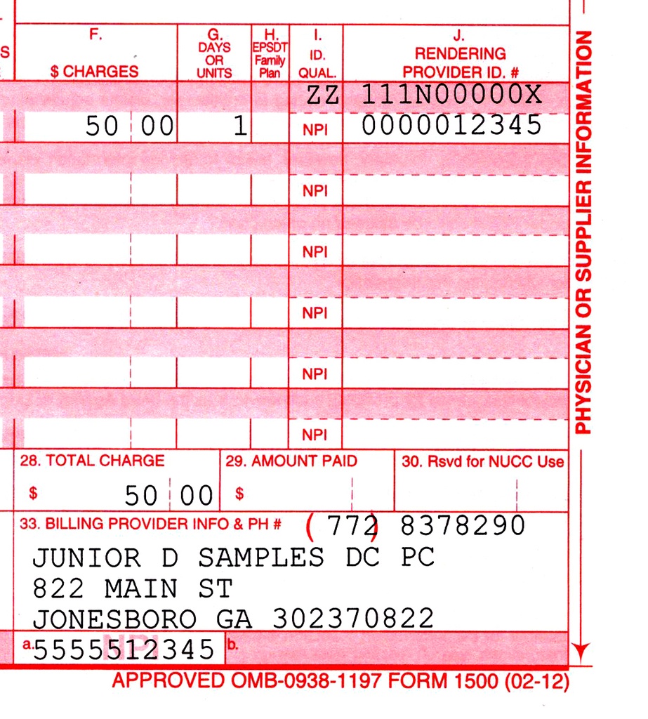 Tax ID, NPI, UPIN, PTAN, Provider and Taxonomy Numbers Chiropractic